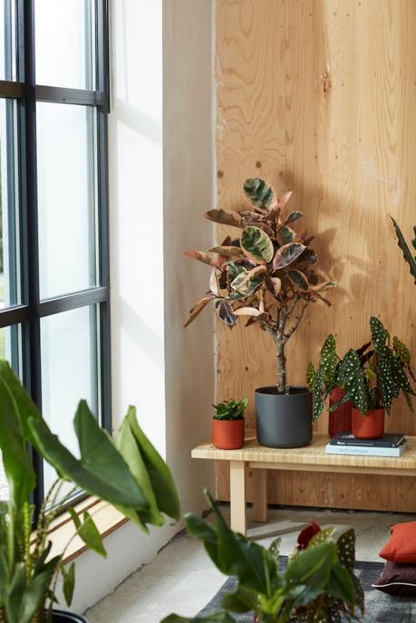 b.for soft rond 30cm antraciet